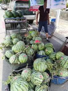 2024永年吃瓜事件,一场网络热议的真相追踪